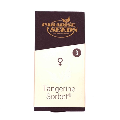 Tangerine Sorbet > Paradise Seeds | Graines Féminisées  |  Hybride